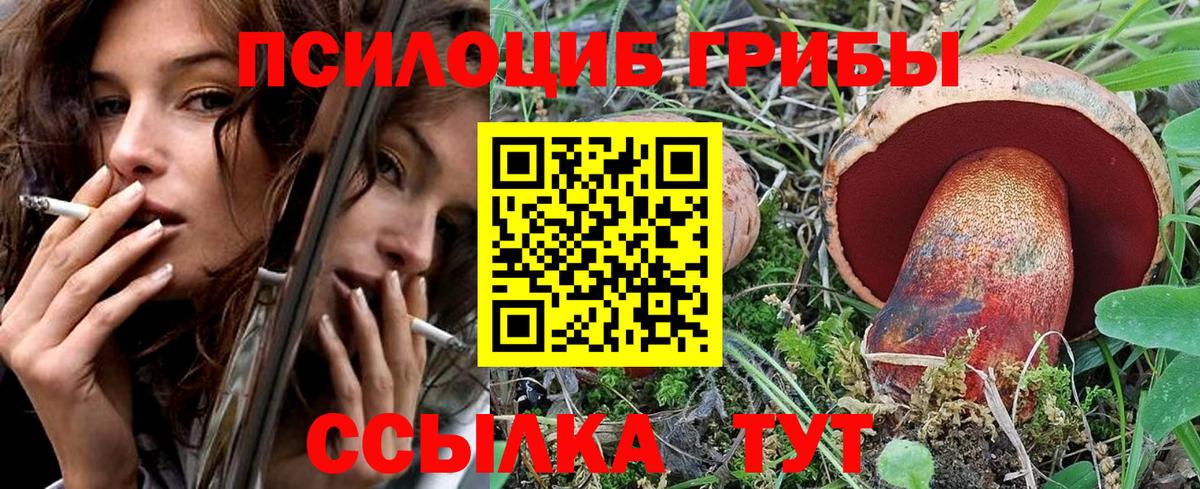 Галлюциногенные грибы прущие грибы  Вход с VPN  Буйнакск 